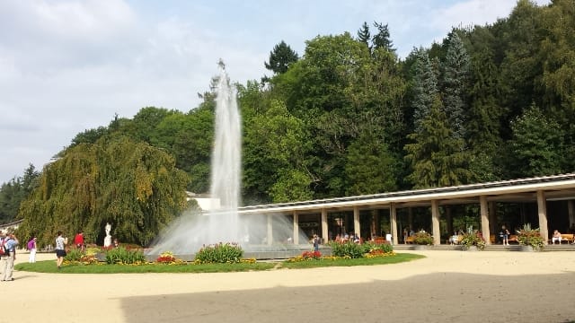 LL-fontana