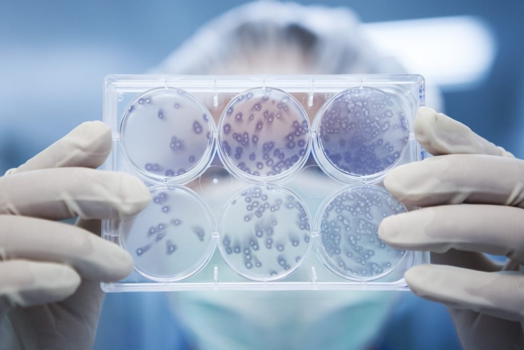 Chaiya, lab technician at work in Virology lab